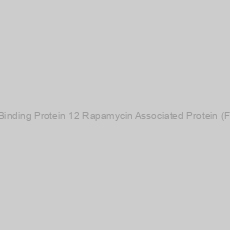 Image of Human FK506 Binding Protein 12 Rapamycin Associated Protein (FRAP) ELISA Kit